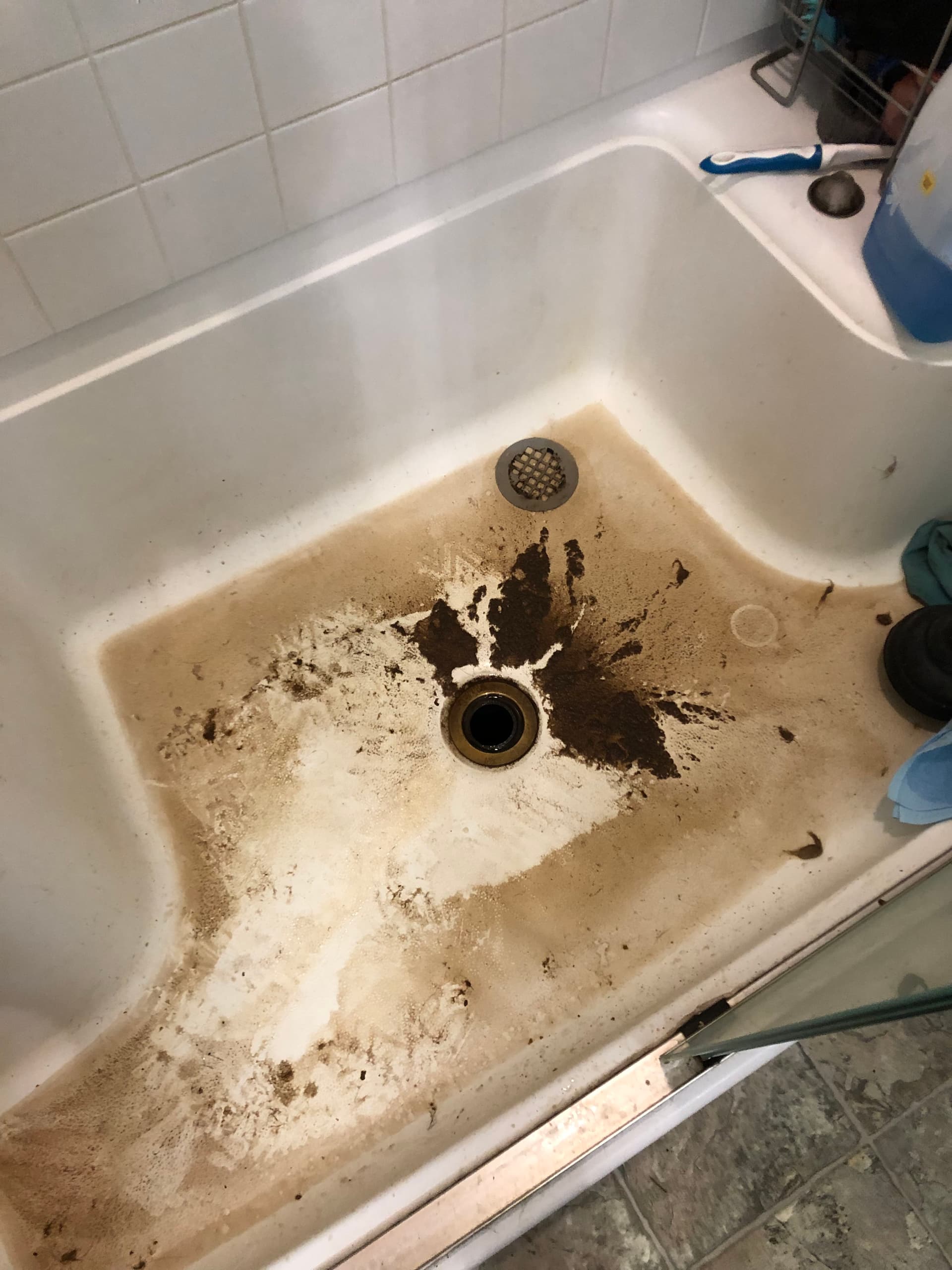 Severely Clogged Shower Drain Cleared in Oregon City image