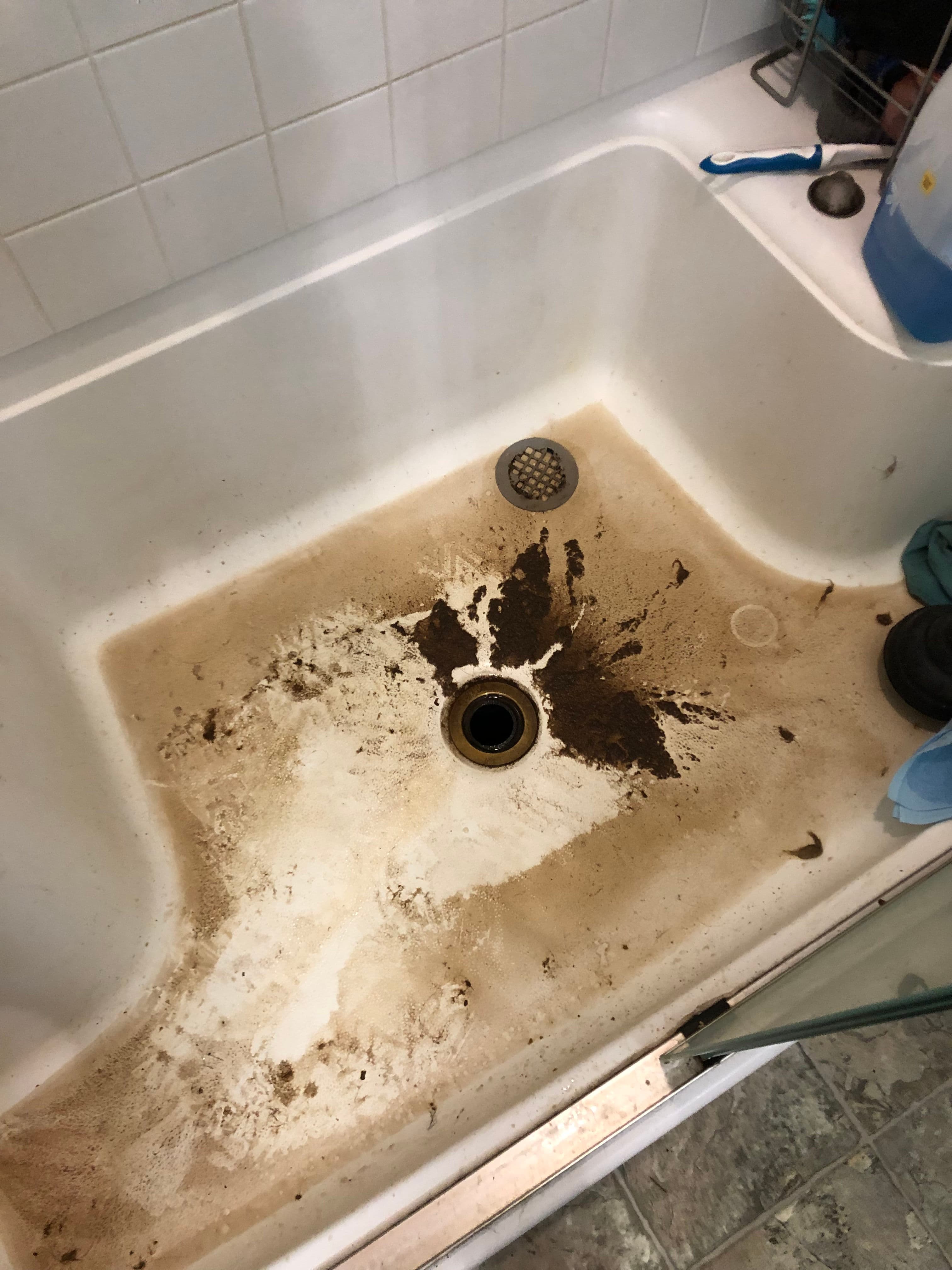 Project Severely Clogged Shower Drain Cleared in Oregon City image