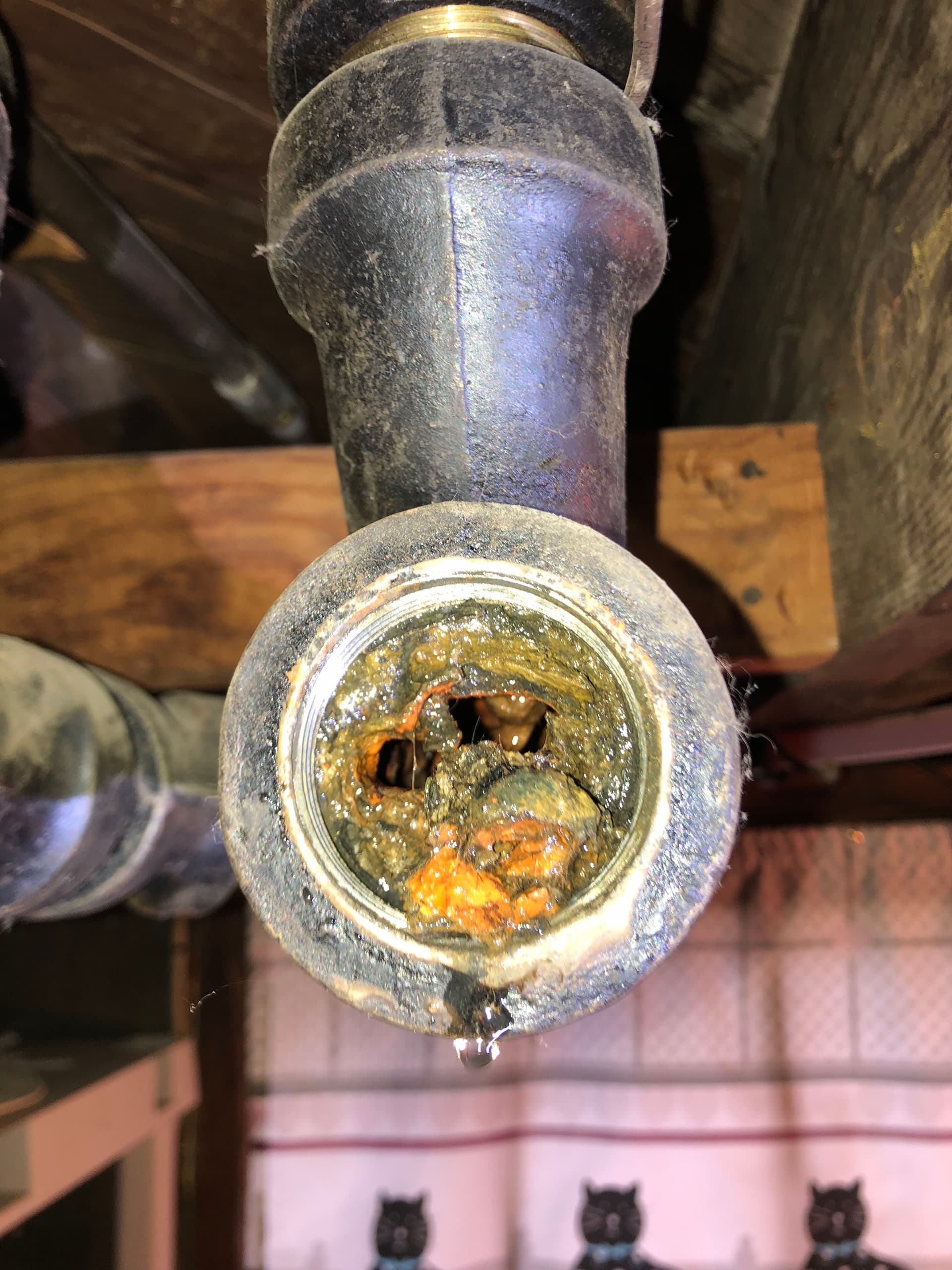 Heavy Buildup Inside an Old Cast Iron Drain in Oregon City image