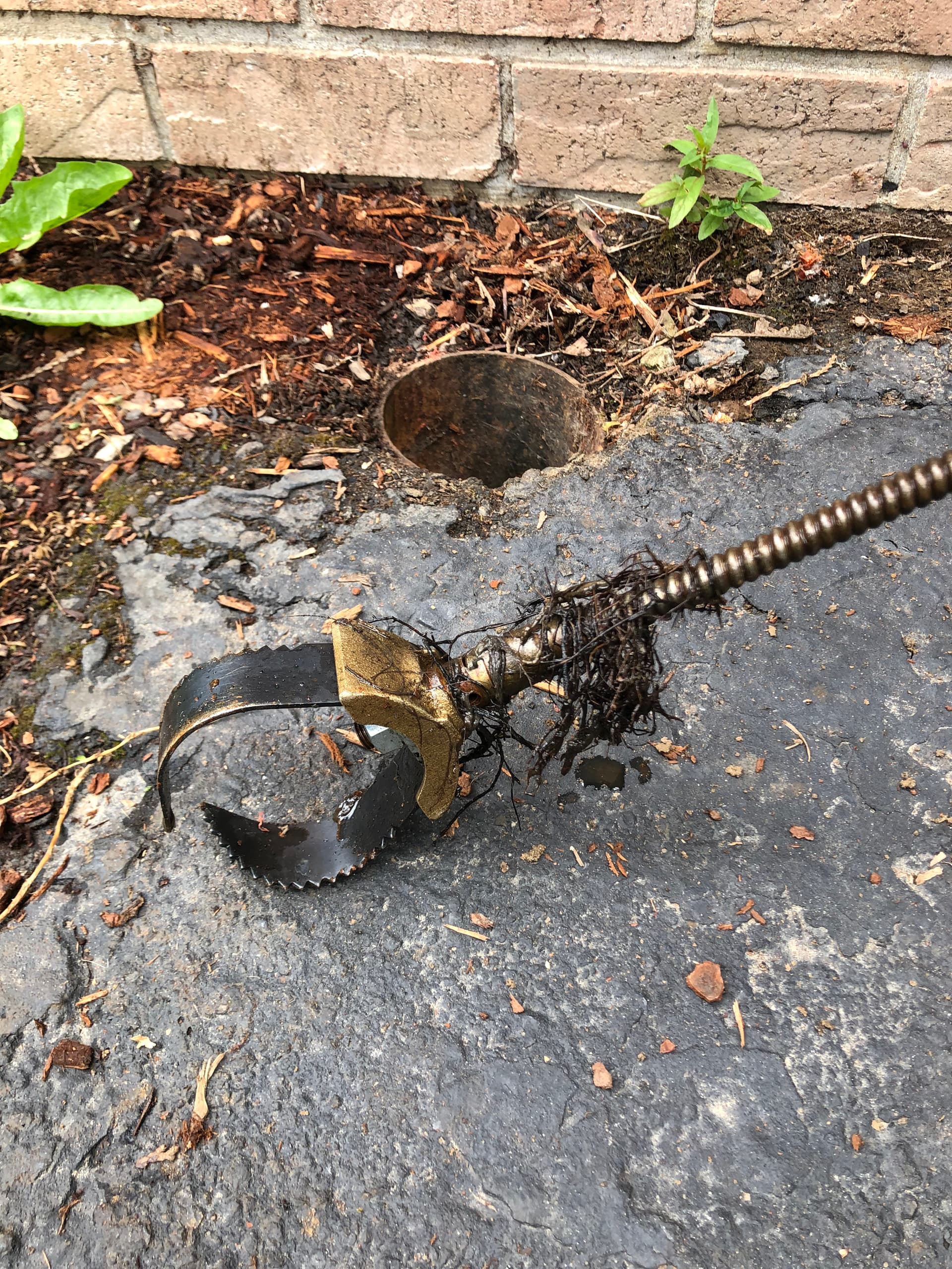 Gallery photos for Hydro-Jet Drain Cleaning and Tree Root Removal in West Linn Oregon: Image #1