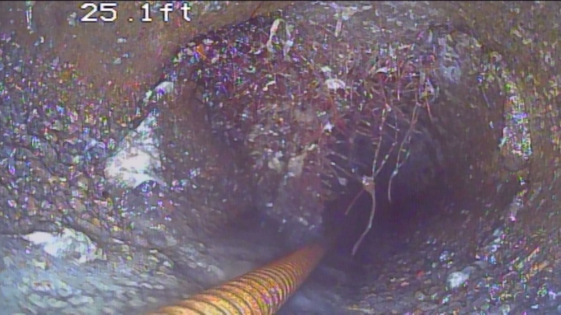 Hydro-Jet Drain Cleaning and Tree Root Removal in West Linn Oregon image