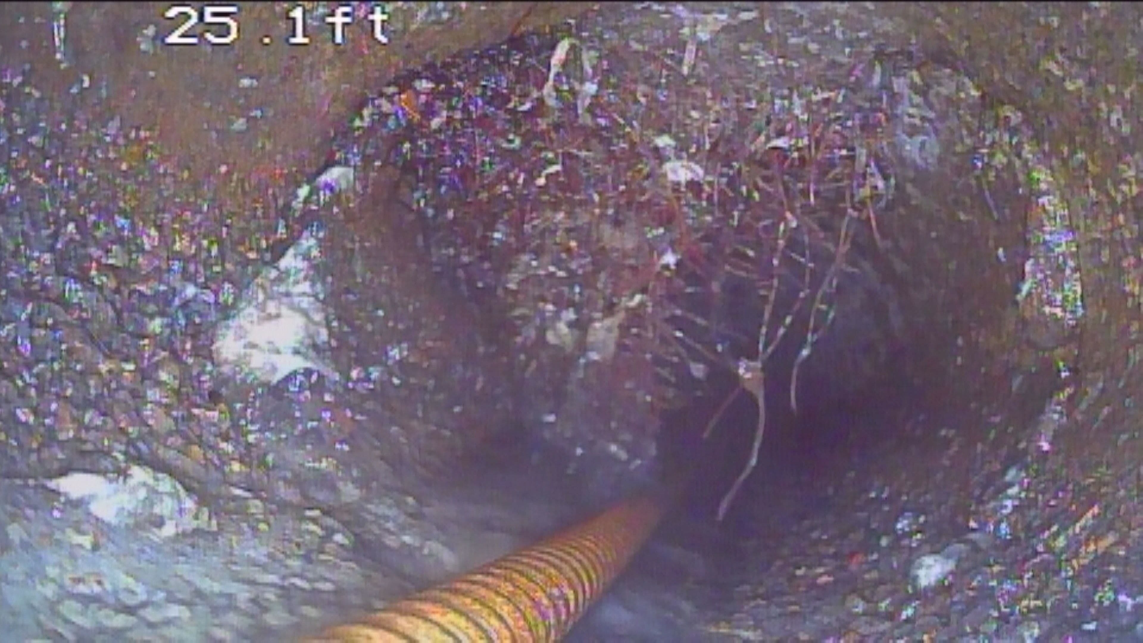 Project Hydro-Jet Drain Cleaning and Tree Root Removal in West Linn Oregon image