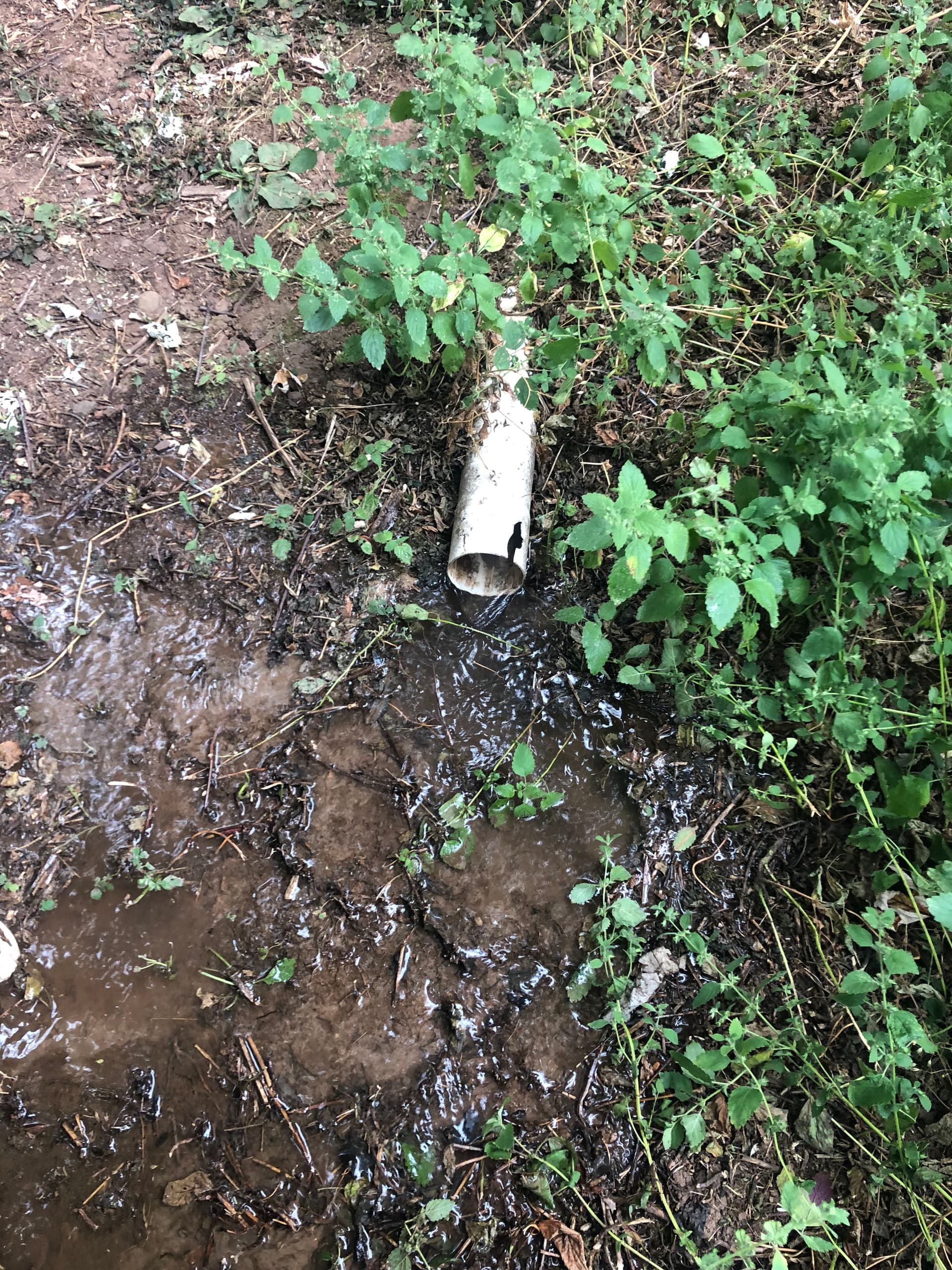 Gallery photos for Hydro-Jet Drain Cleaning Clears a Blocked Gutter Drain in Beavercreek Oregon: Image #2