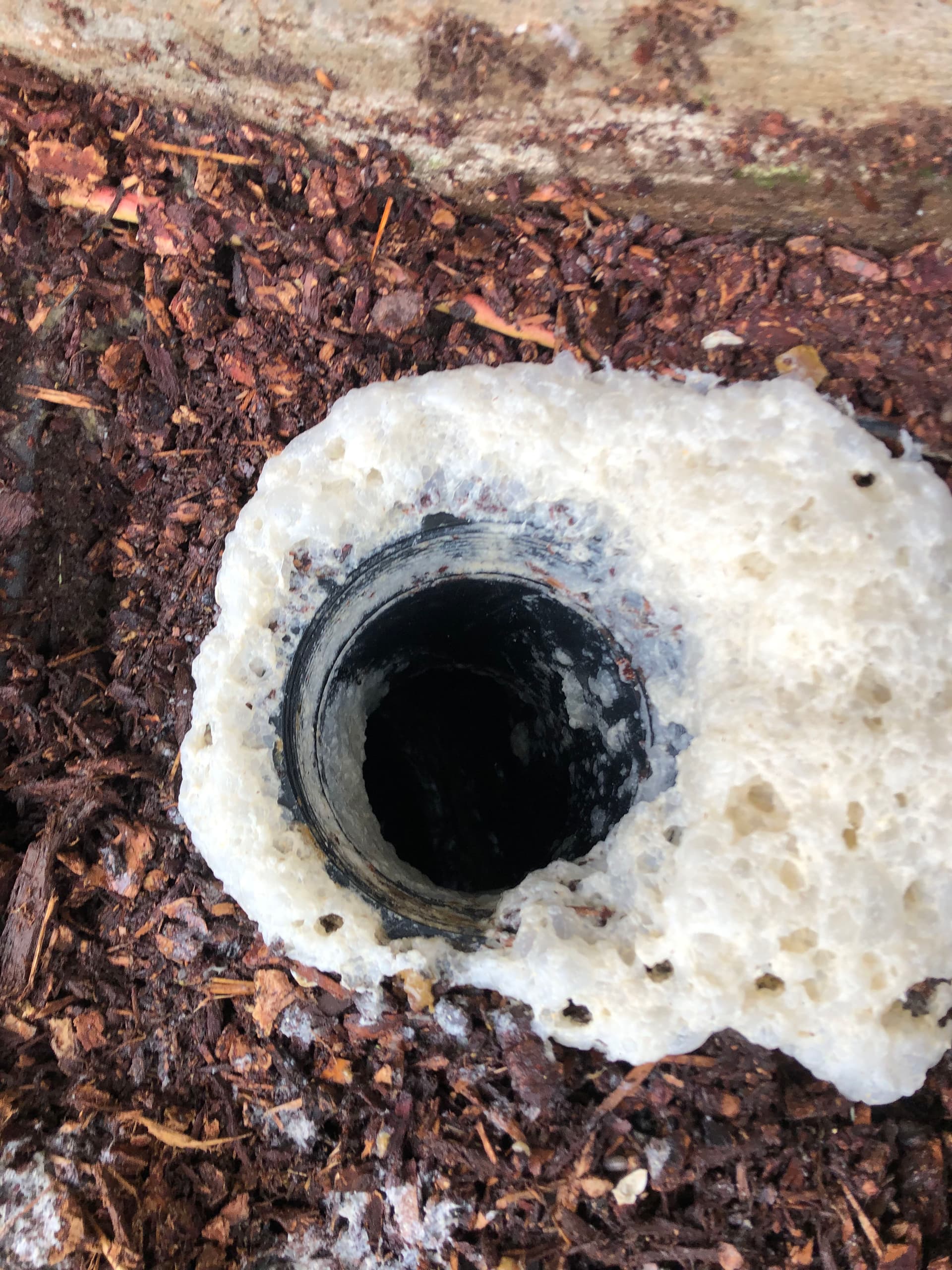 Main Sewer Line Backing Up in Beavercreek? Don't Wait image