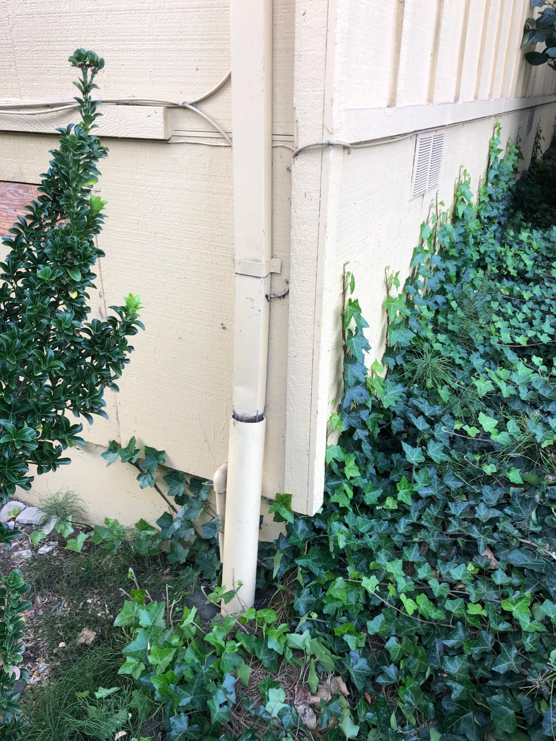 Gallery photos for Hydro-Jet Drain Cleaning and Sewer Service in West Linn Oregon: Image #1