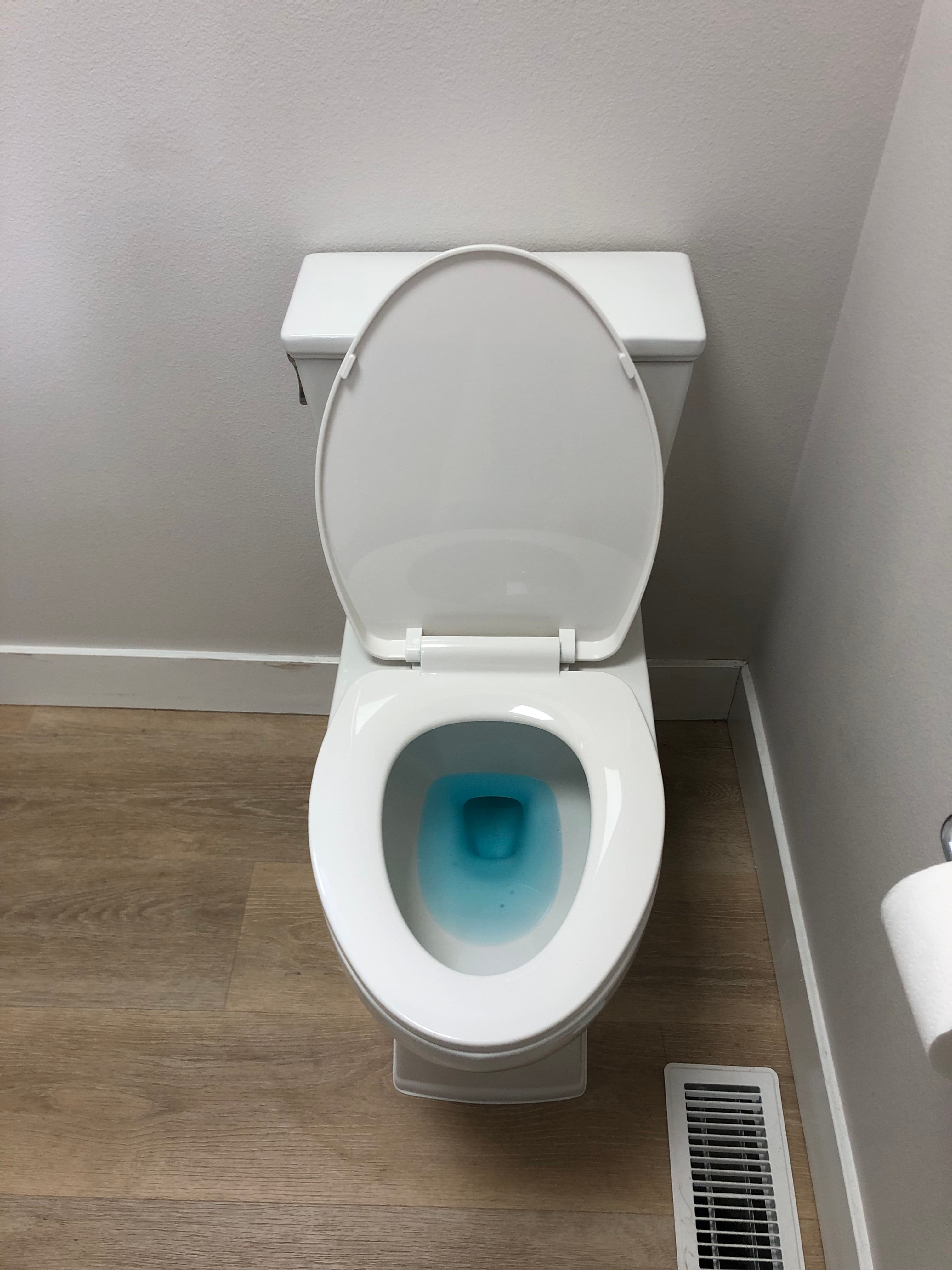 Project New Toilet Installation Done Right in Oregon City image