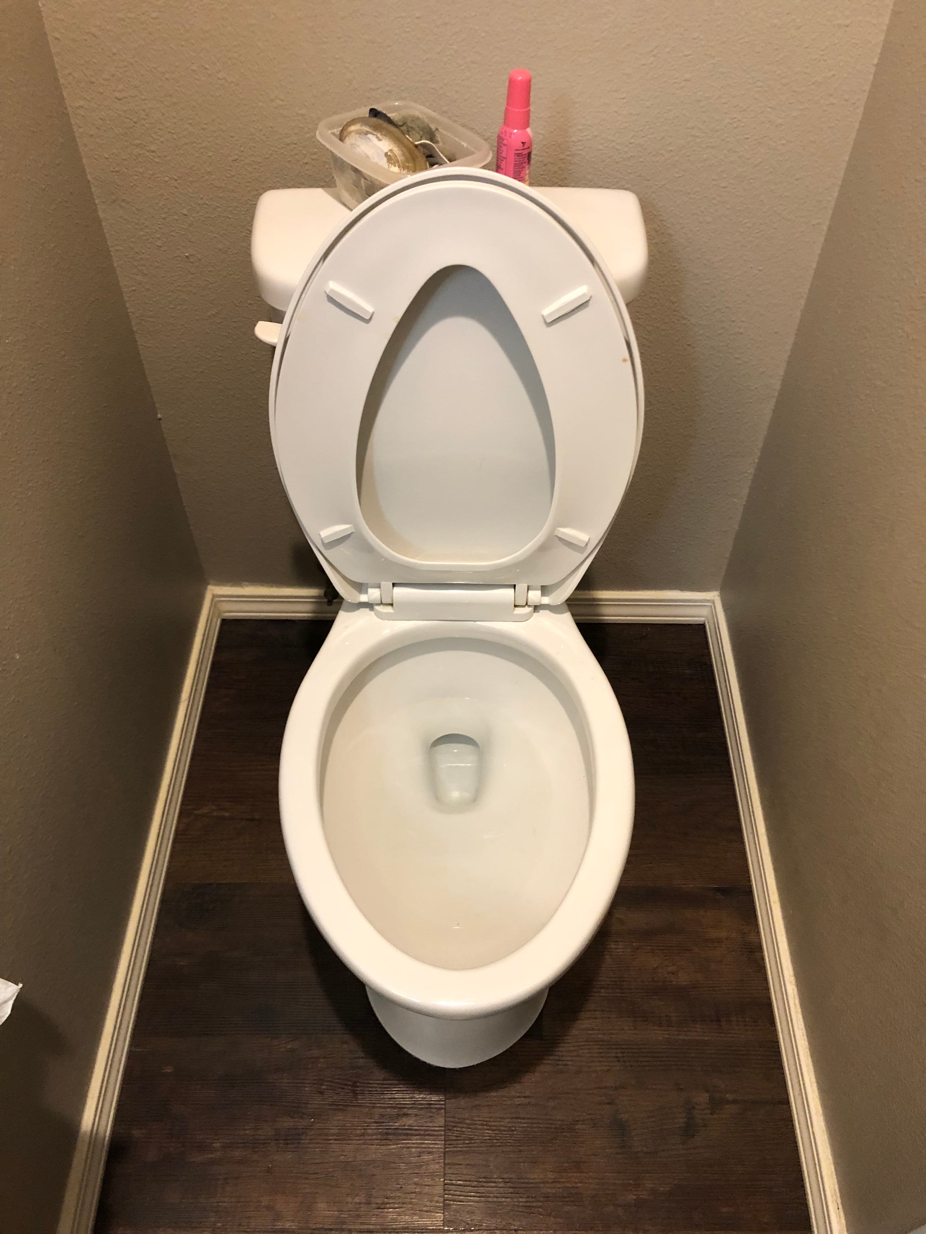 Project When Your Plunger Fails a Clogged Toilet in Molalla image