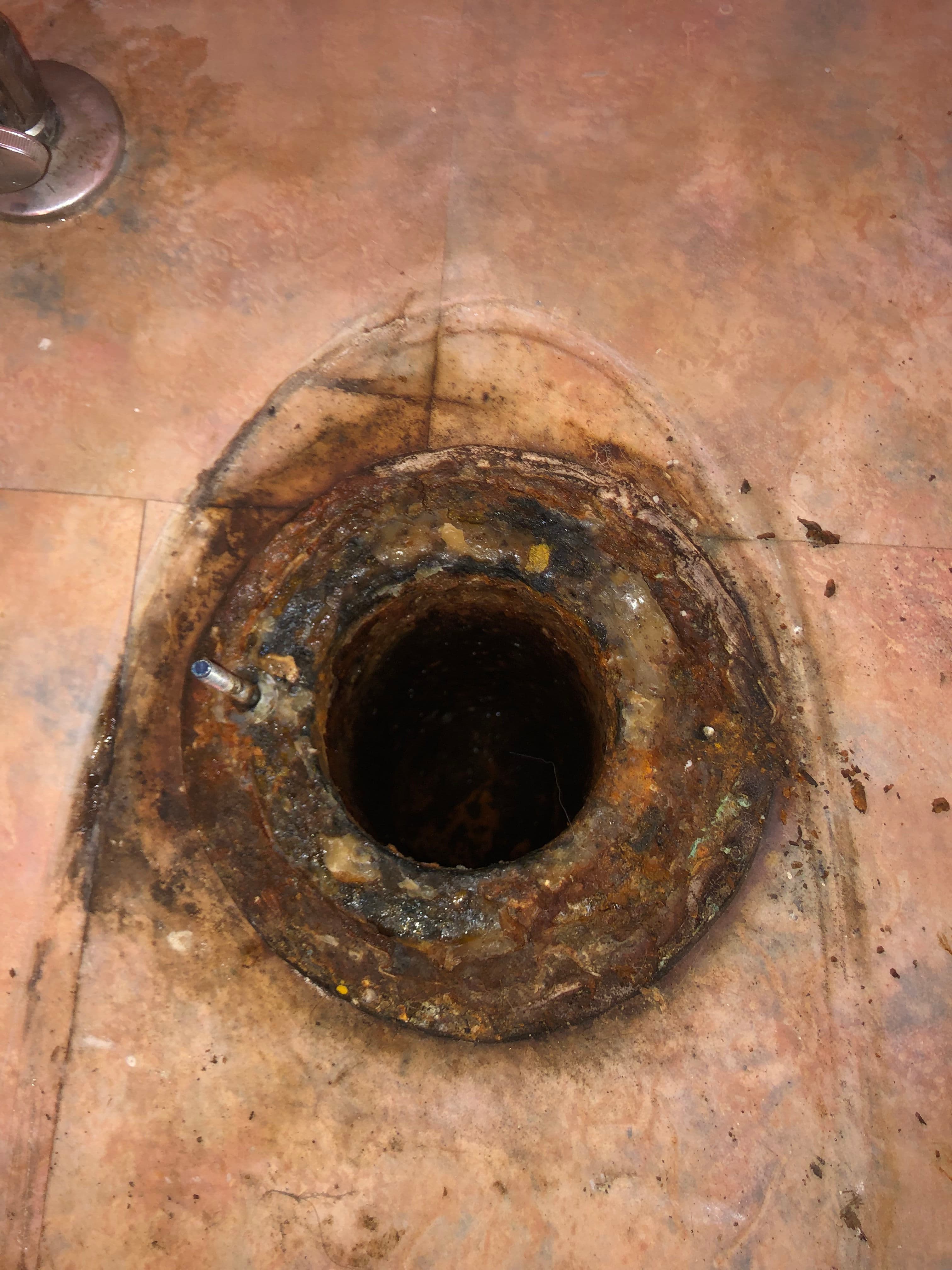 Project When a Clogged Toilet Reveals a Bigger Problem in West Linn image