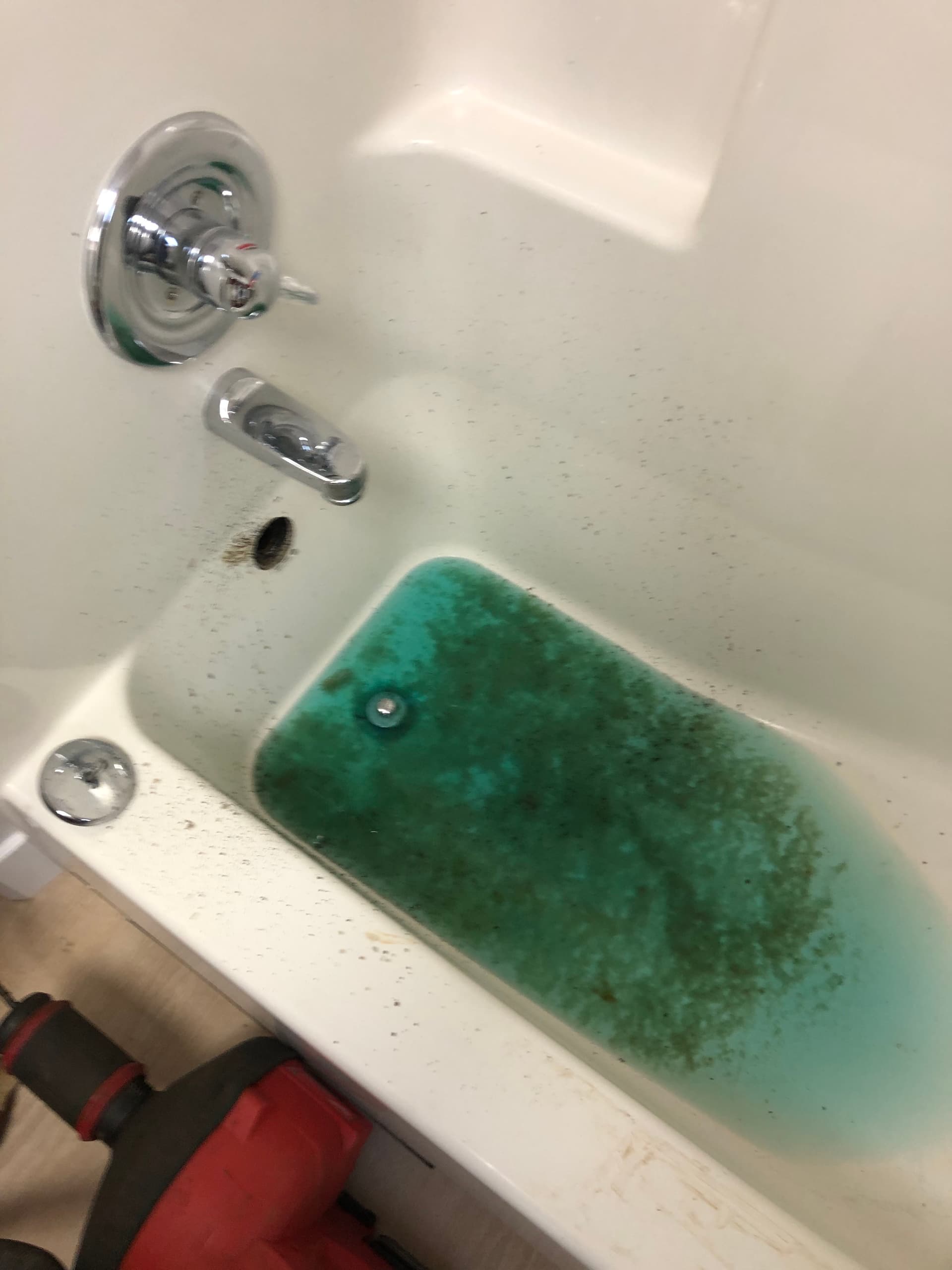 Severely Clogged Shower Drain Cleared in Oregon City image