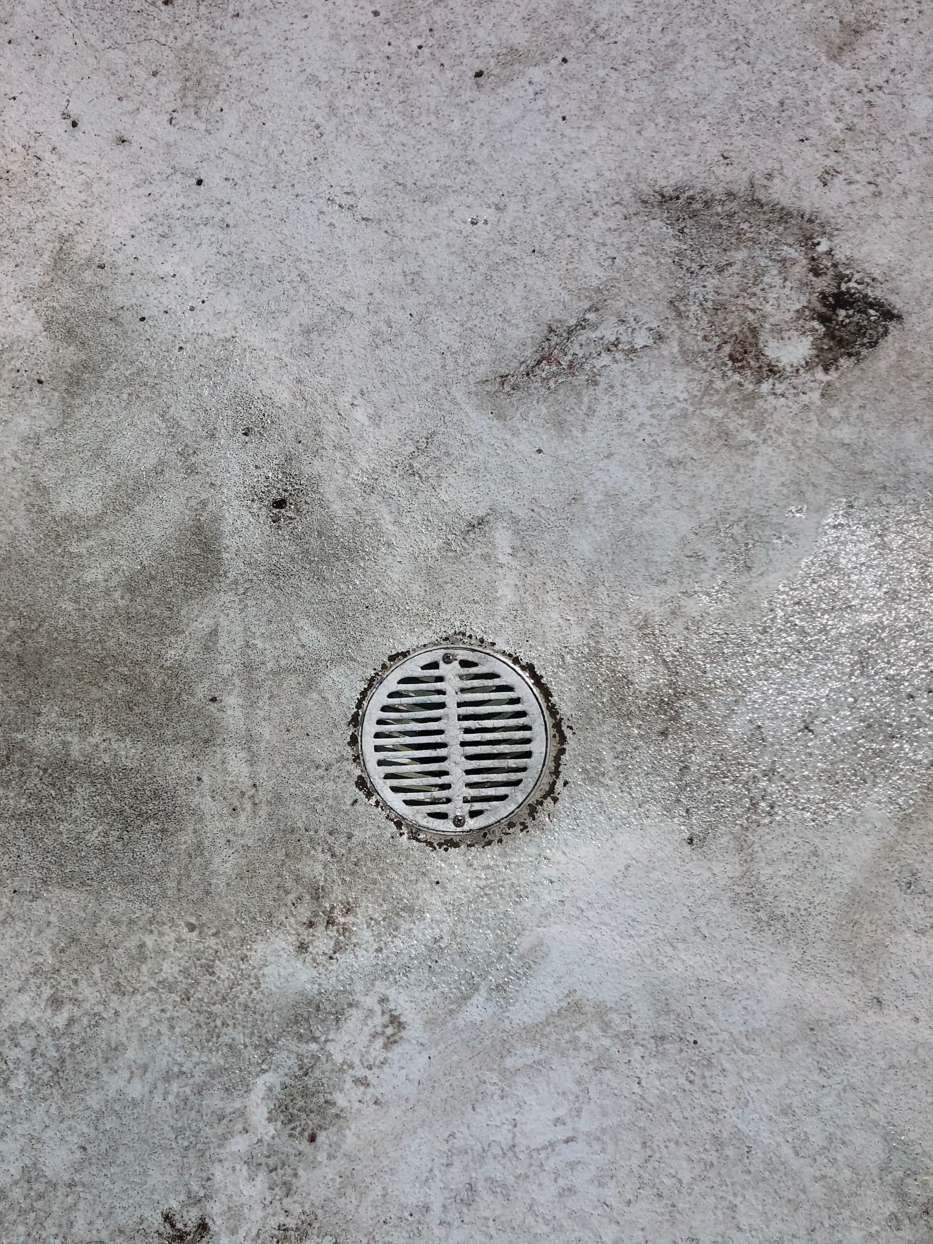 Gallery photos for Clogged Gutter Drain Cleaned Out in Oregon City: Image #2