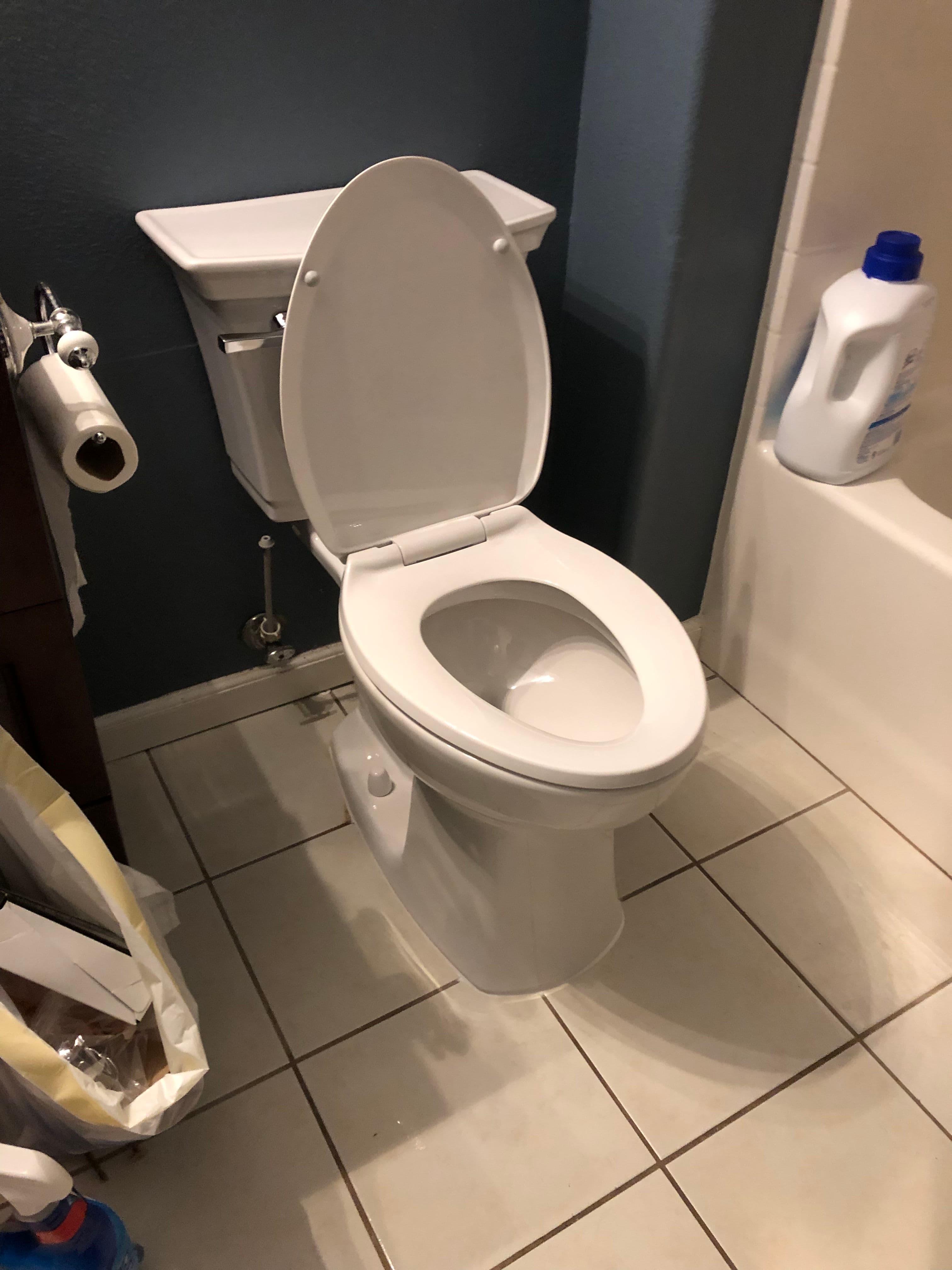Project Clean Toilet Installation Done Right in Oregon City image
