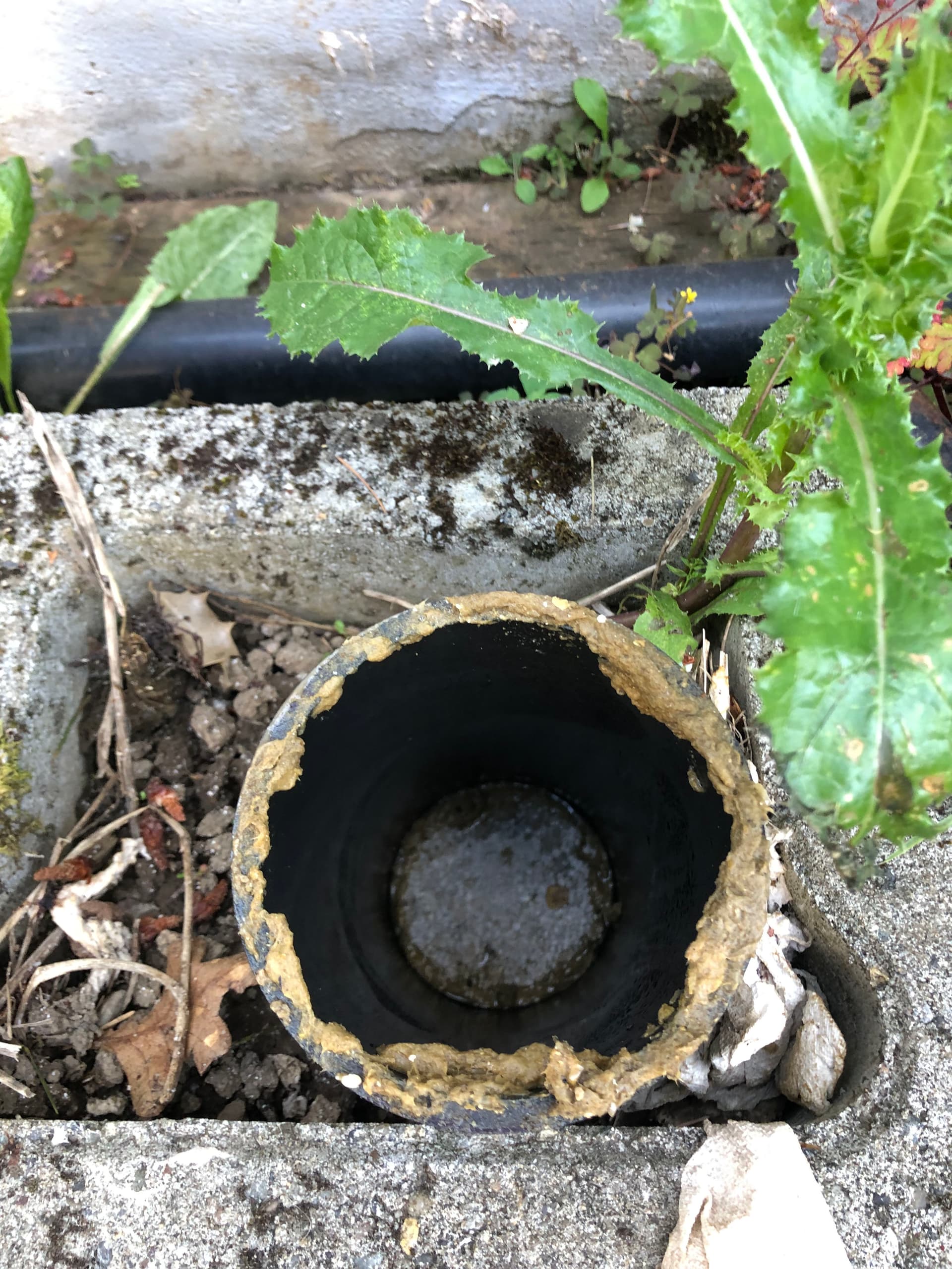 Gallery photos for Sewer and Drain Cleaning Done Right in Oregon City: Image #1