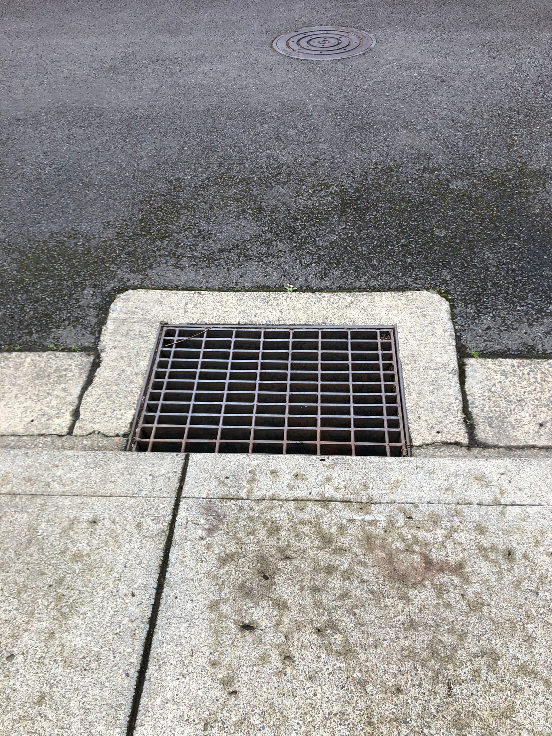 Clogged Storm Drain in Aurora? Don't Wait for the Flood image