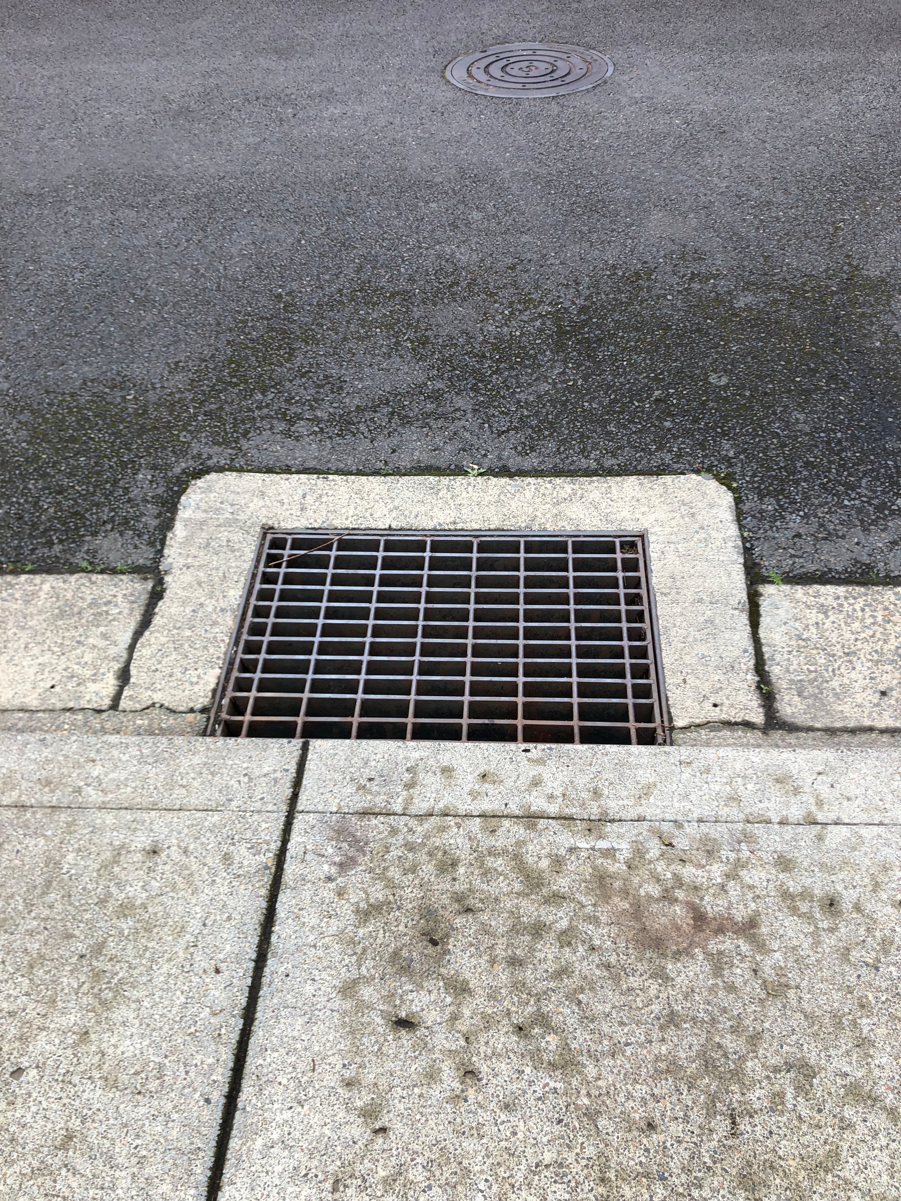 Project Clogged Storm Drain in Aurora? Don't Wait for the Flood image