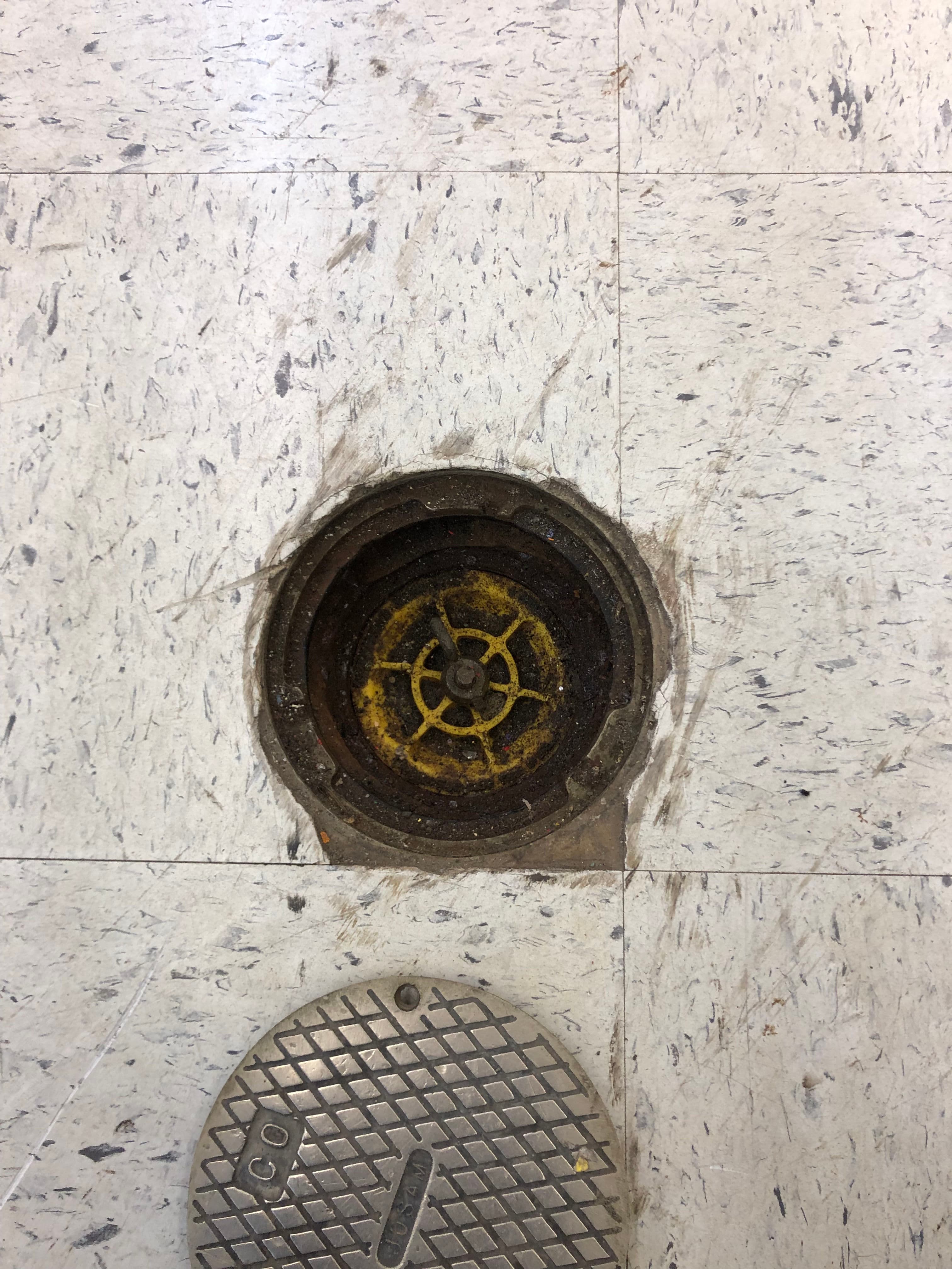 Project Clogged Main Sewer Line in Oregon City? Here's What to Do image