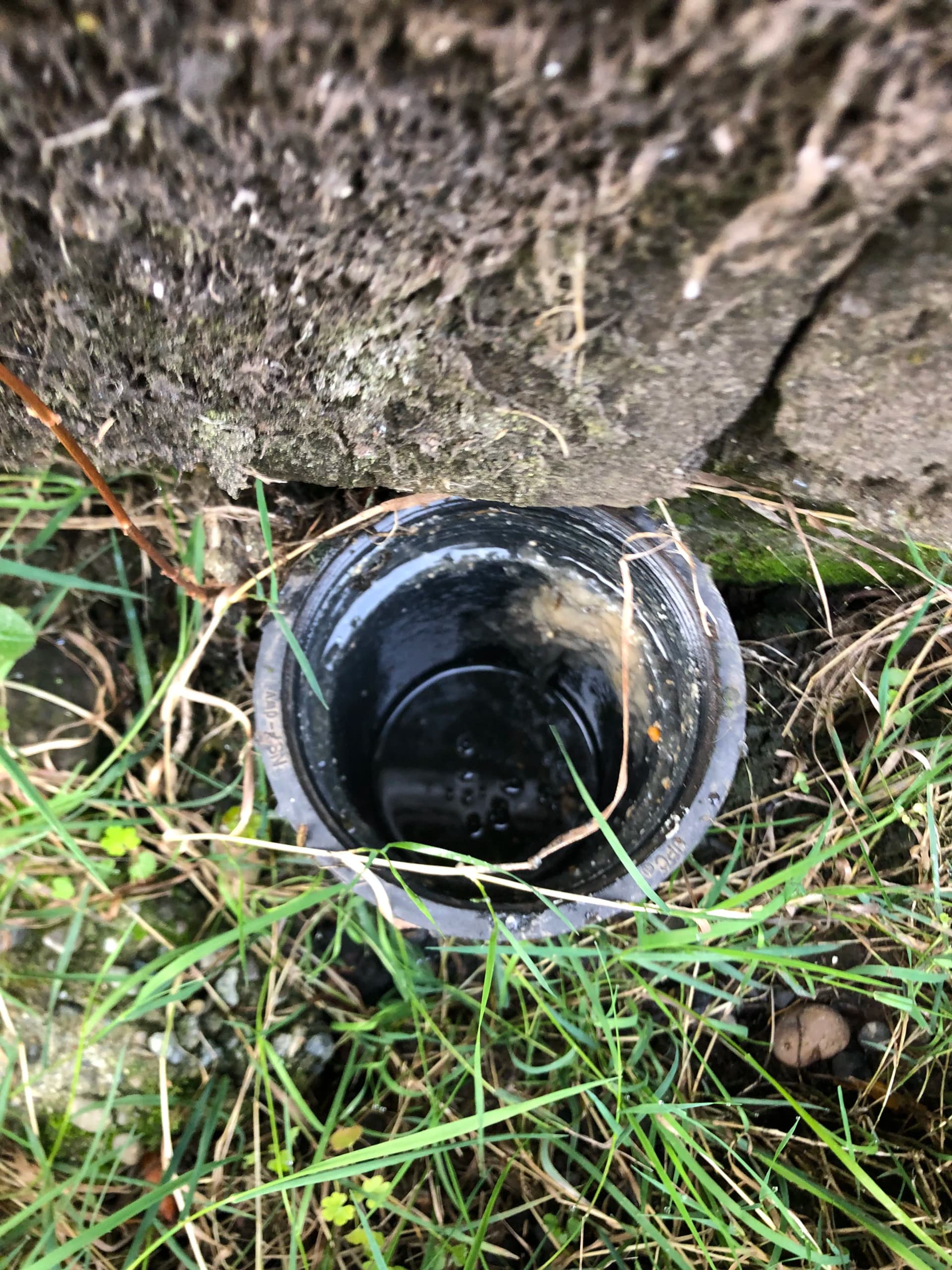 Hydro-Jet Drain Cleaning and Sewer Services in Oregon City image