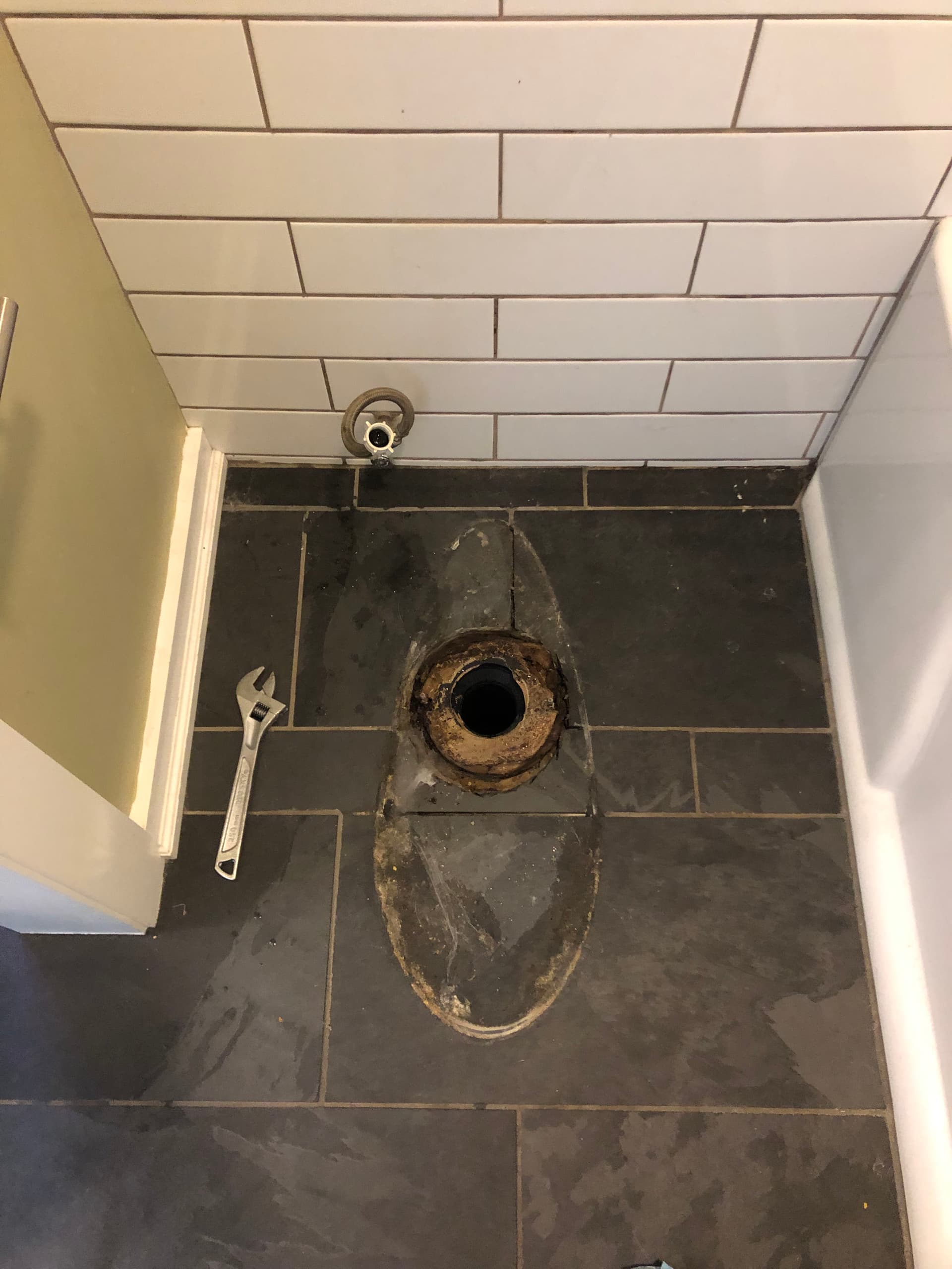 Gallery photos for Drain Cleaning, Tree Root Removal and Toilet Installation in West Linn Oregon: Image #3
