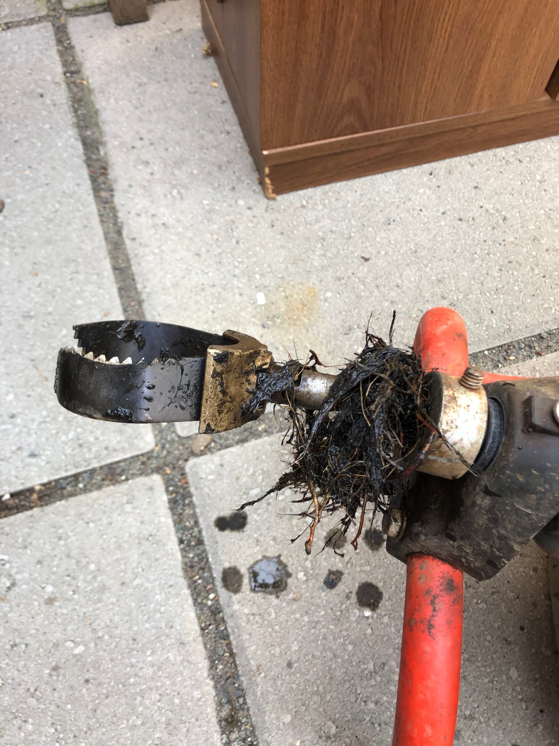 Gallery photos for Drain Cleaning, Tree Root Removal and Toilet Installation in West Linn Oregon: Image #1