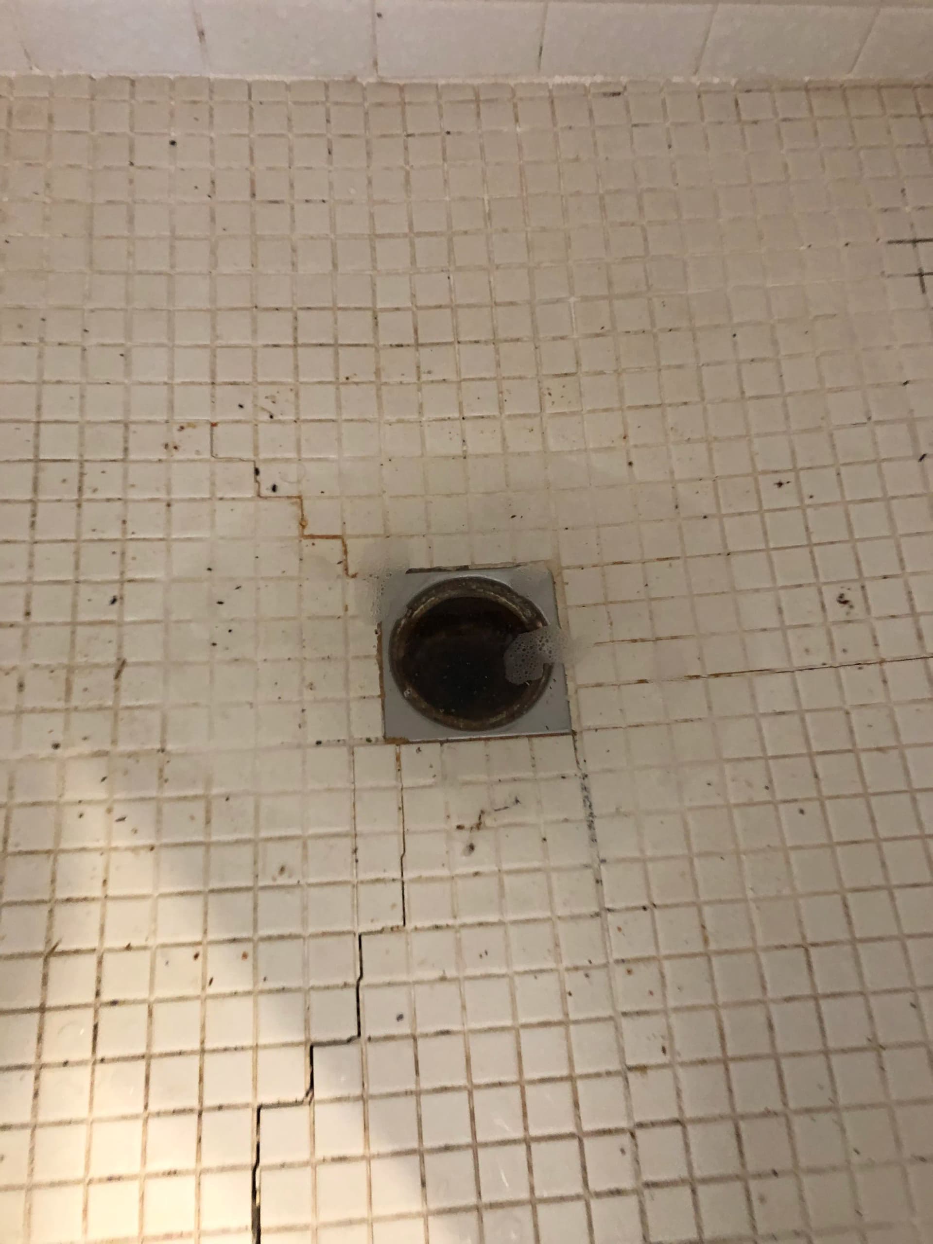 Gallery photos for Slow Shower Drain in Oregon City? Here's What's Really Going On: Image #1