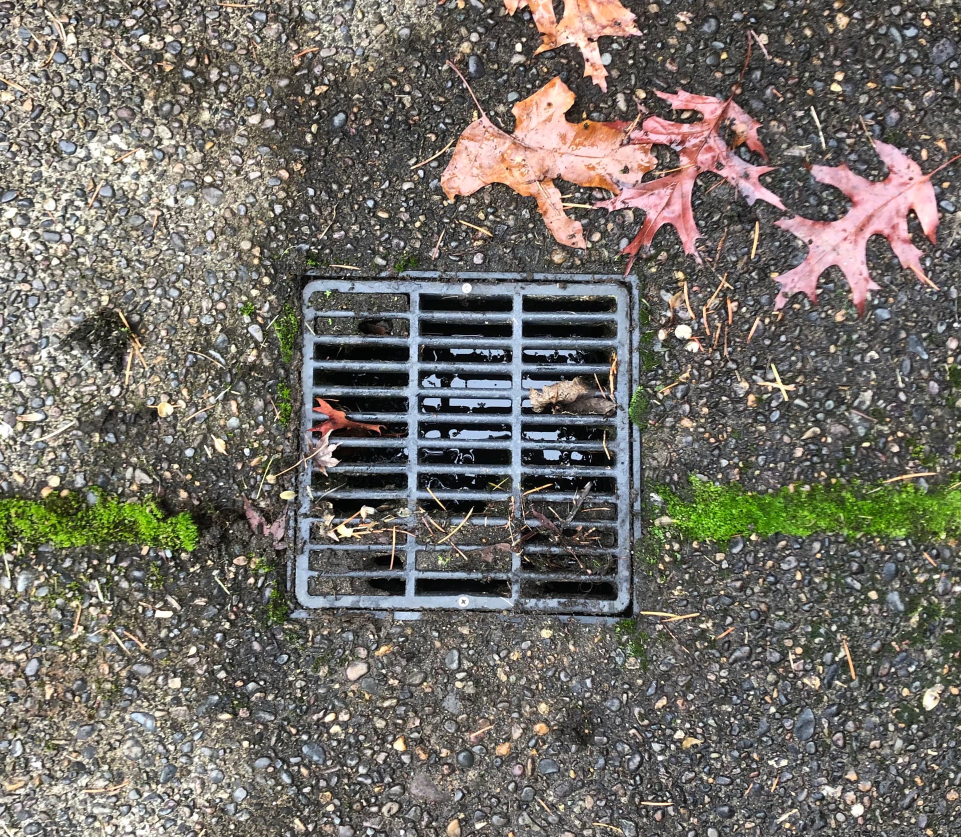 Clogged Gutter Drain Line Cleared in West Linn Oregon image