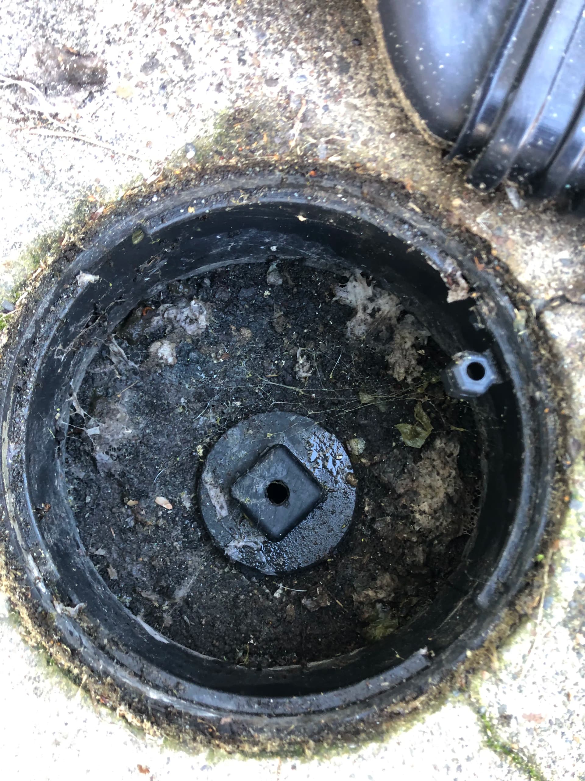 Gallery photos for Hydro-Jet Drain Cleaning for Clogged Gutter Drains in Oregon City: Image #2