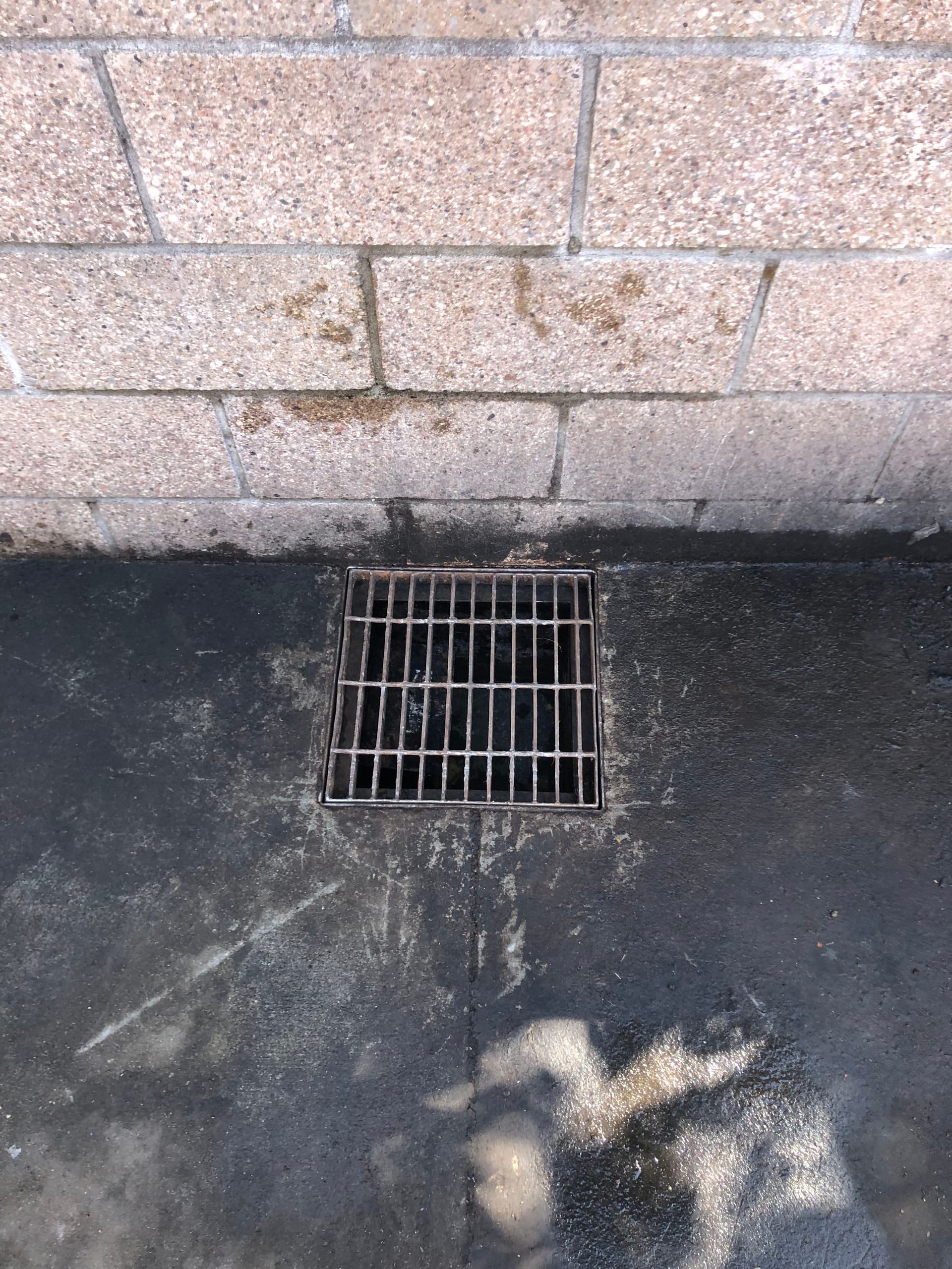 Gallery photos for Commercial Drain Cleaning Done Right in Oregon City: Image #3