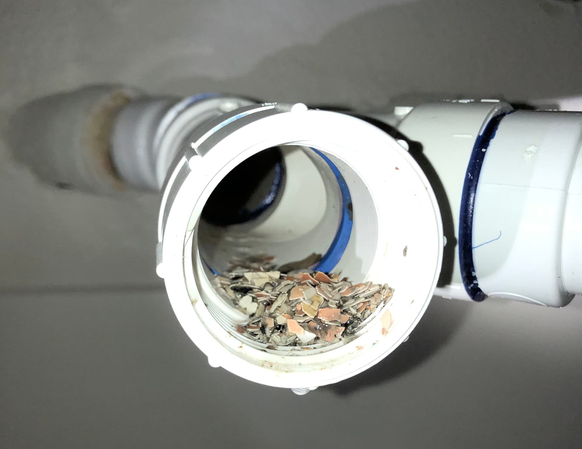 Eggshells Are Clogging Kitchen Drains in West Linn image