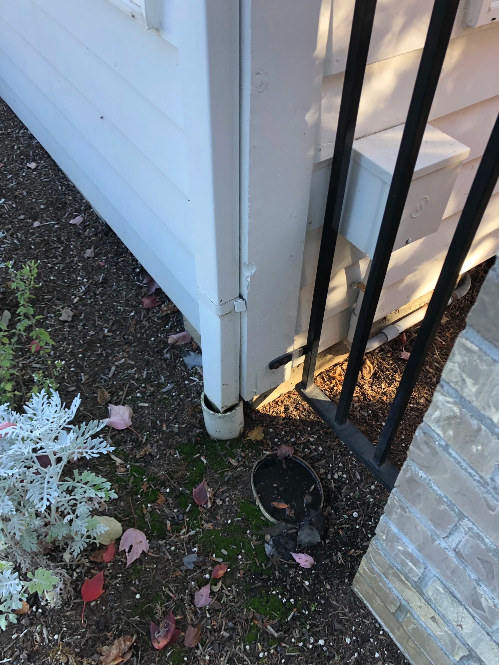 Gallery photos for Clogged Gutter Drains and Tree Roots in Canby Oregon: Image #1