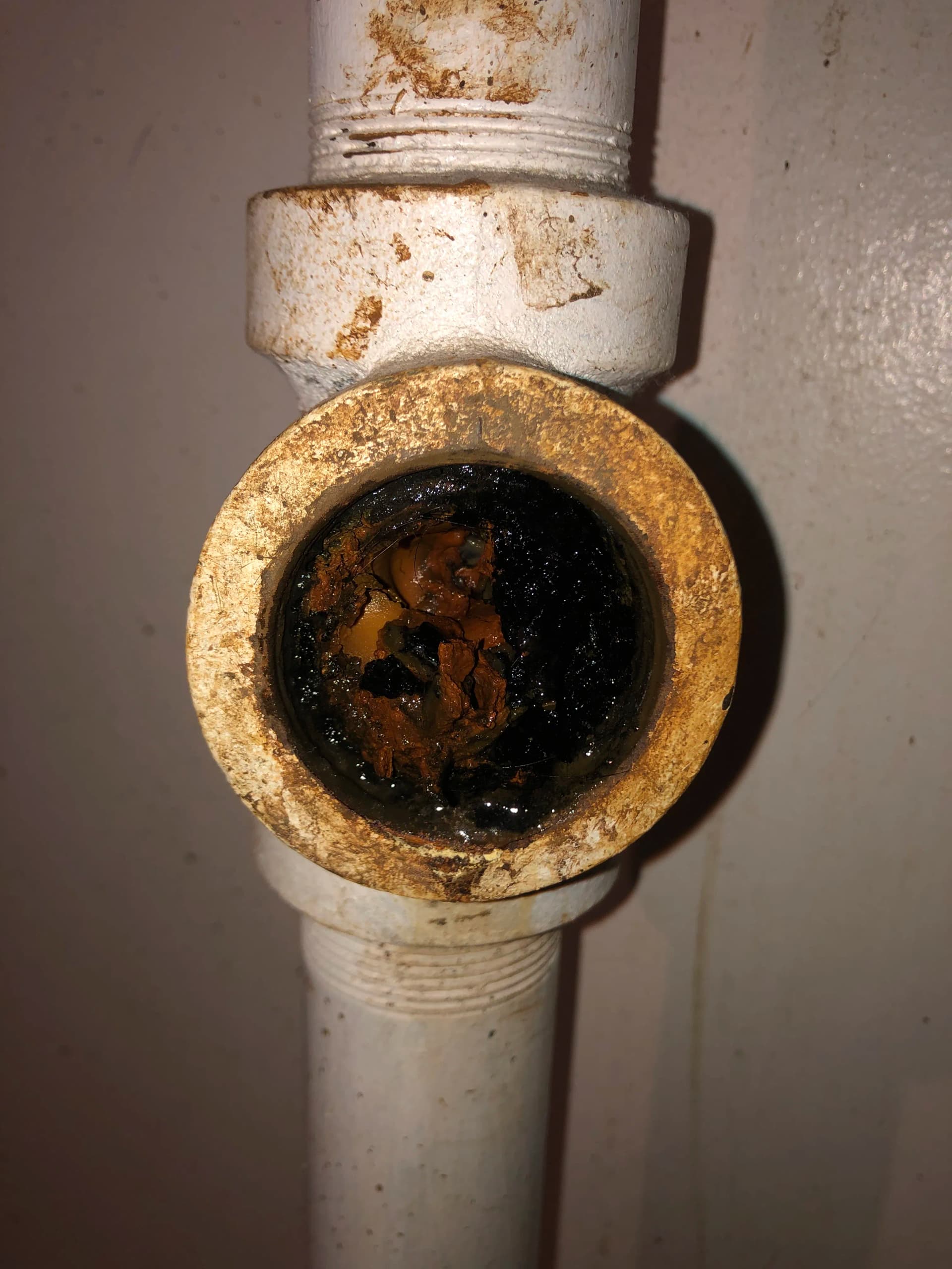 Gallery photos for Hydro-Jet Drain Cleaning Knocks Out Sewer Blockages in West Linn: Image #1