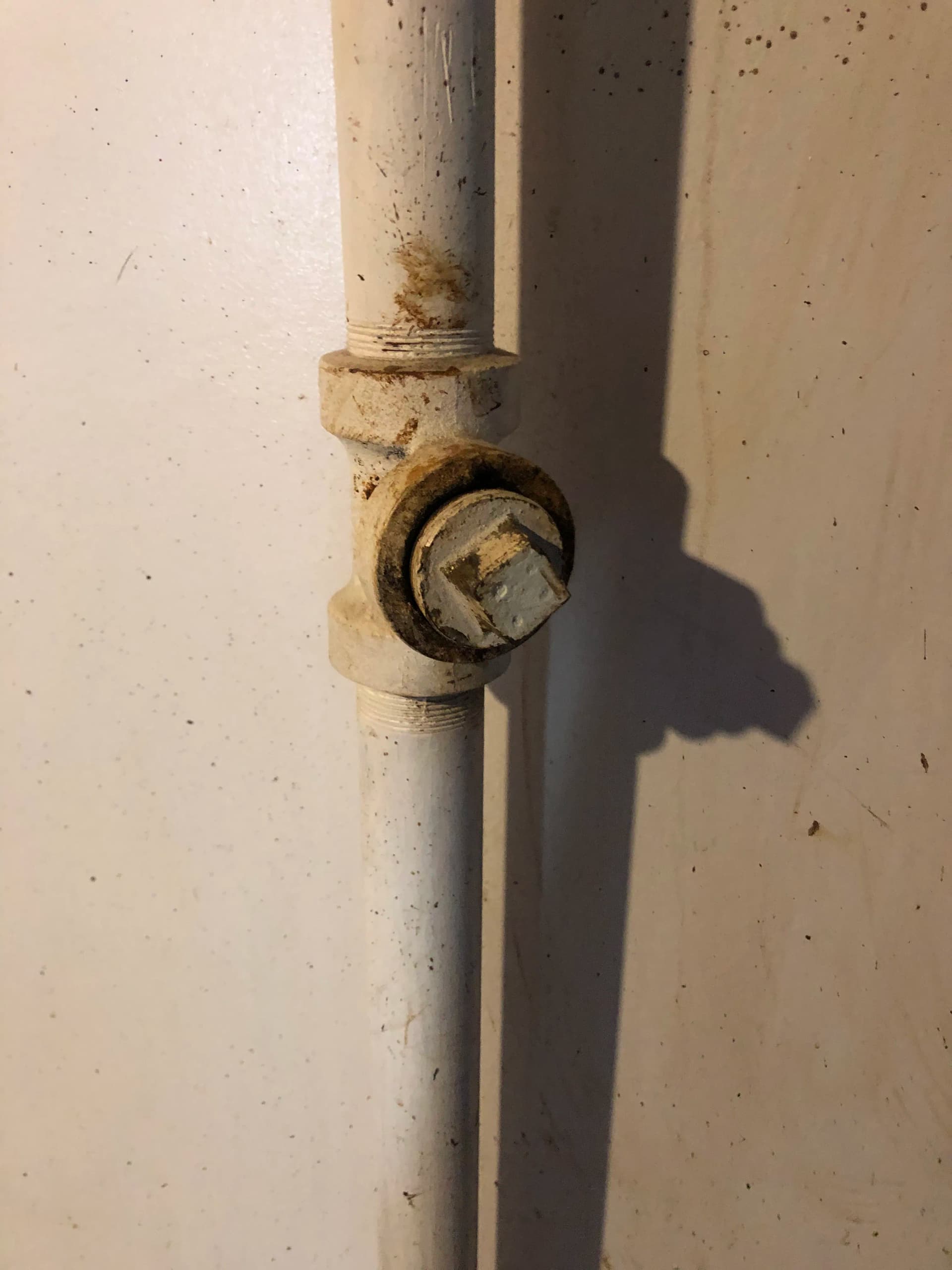Hydro-Jet Drain Cleaning Knocks Out Sewer Blockages in West Linn image